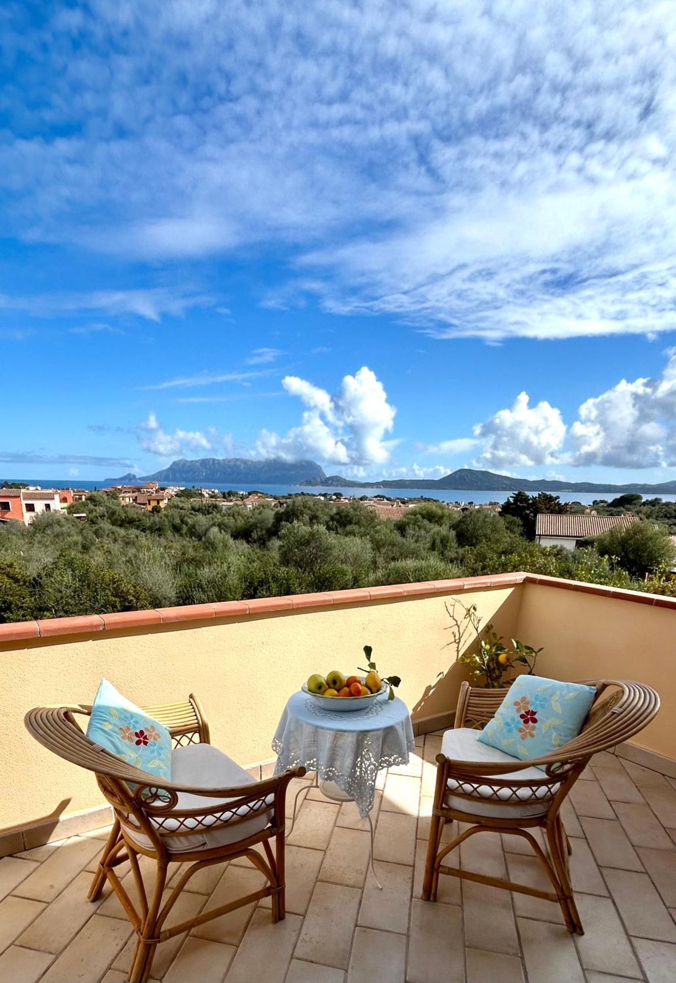 Ulivo Olbia
